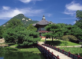 新疆试管婴儿基因检测指南，哪里做？费用多少？